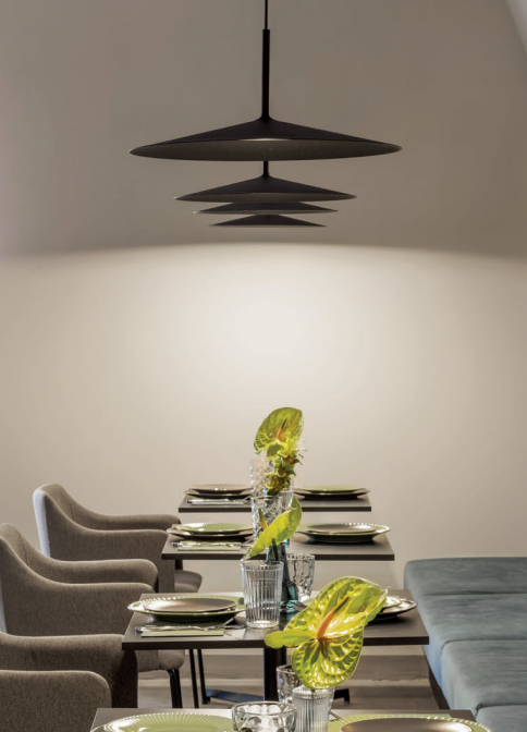 Linea Light - Poe Plus
