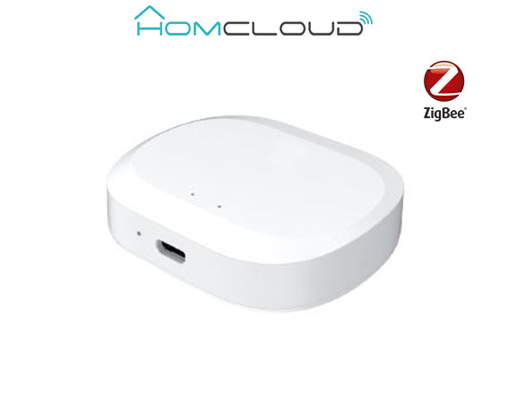 Home Cloud - Centralina / Hub Intelligente Zigbee
